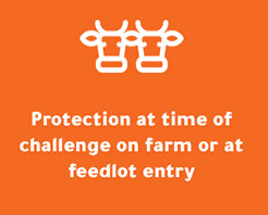Protection on farm